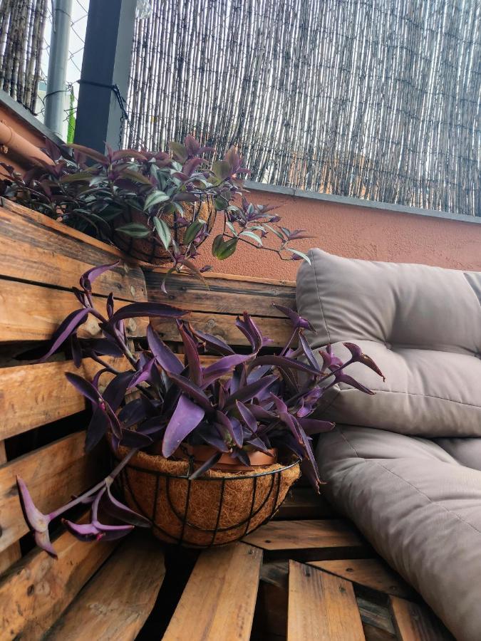 Estudio Con Terraza Badalona Otel Dış mekan fotoğraf